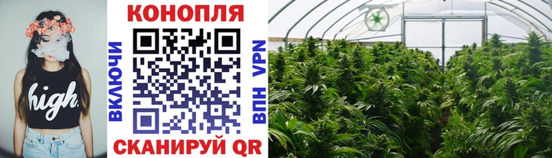 Купить наркоту Каменногорск Альфа ПВП  Конопля  МЕФ  Гашиш 