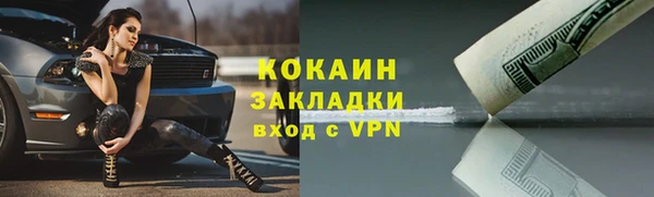 стаф Верея