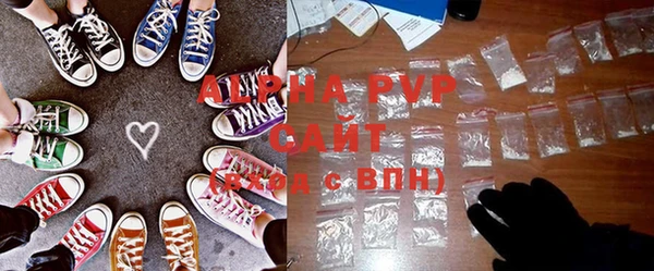 стаф Верея