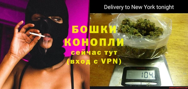 стаф Верея