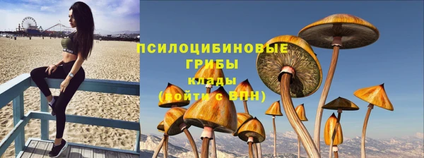 ПСИЛОЦИБИНОВЫЕ ГРИБЫ Бронницы