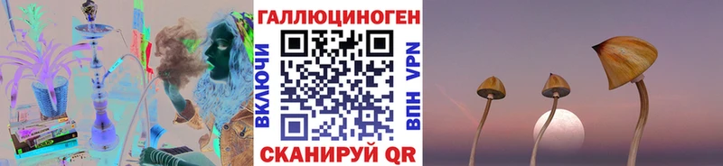 Псилоцибиновые грибы GOLDEN TEACHER  хочу наркоту  Каменногорск 